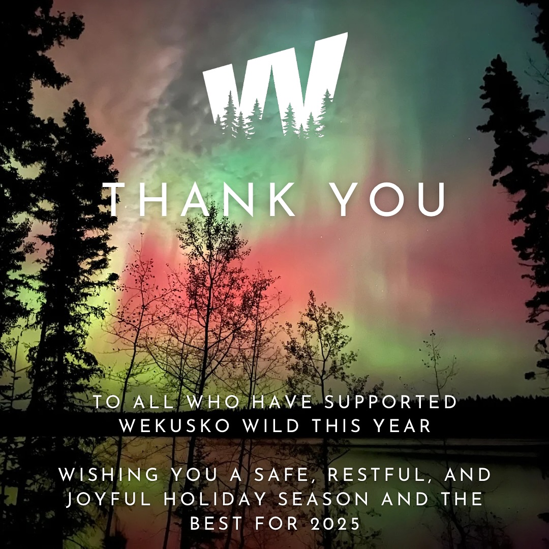 What a year! When I started this solo journey I didn’t appreciate how long it takes to build a small brand. Skincare is so personal to everyone, and it takes trust and a ton of word-of-mouth advertising to spread the word. Thank you to everyone who took a chance on this spectacular venture, loved it, and shared with others. I’m so grateful and excited for 2025. Stay safe and well. #skincare #wekuskowild #smallbusiness #manitobamade #womanrun #entrepreneur #iamtheteam