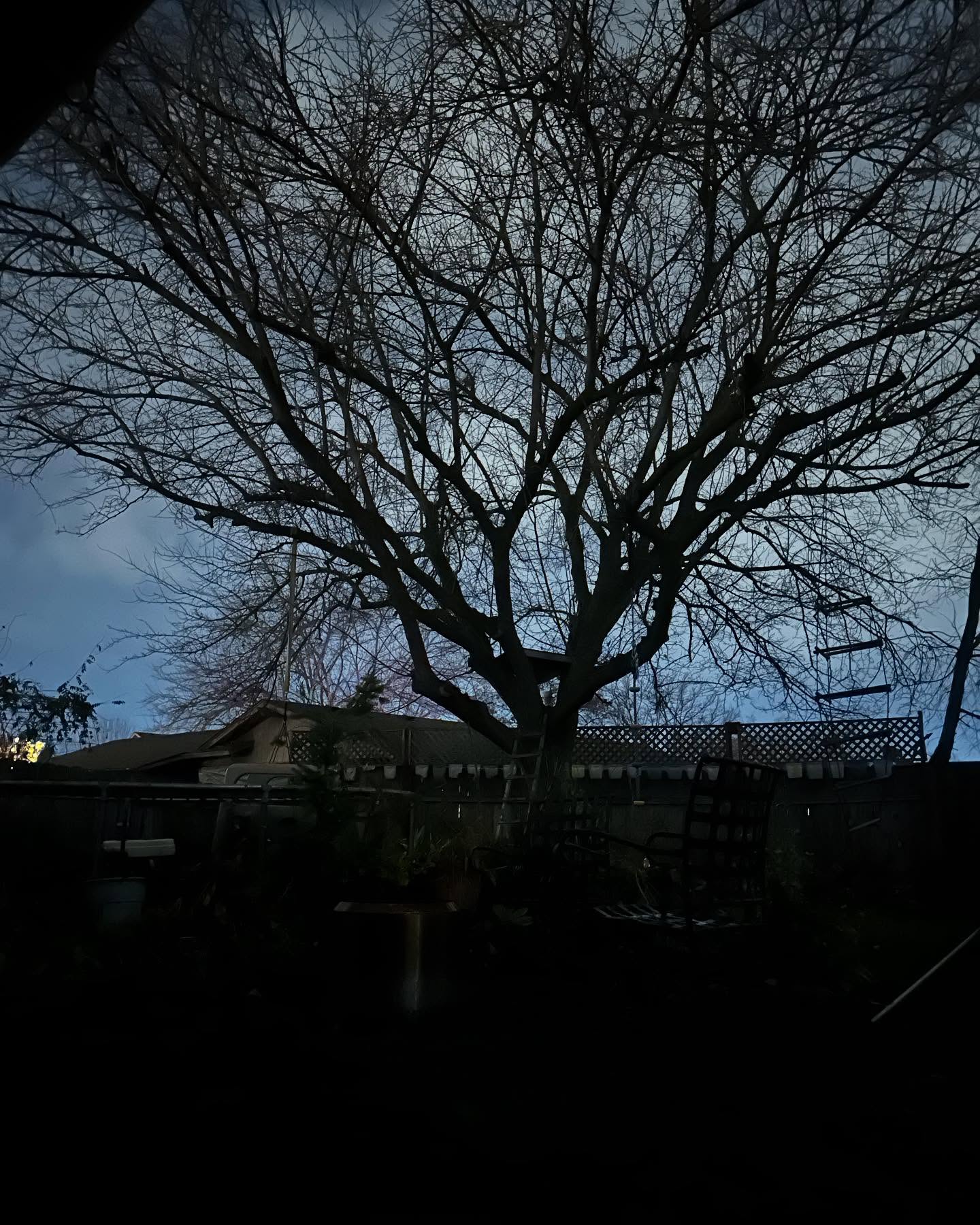 This winter season has me slowing WAY down. I managed one holiday fair and lost my voice! All signs have pointed to me taking time to nourish myself, the family and my community. I have special herbal baskets available upon request. 🌿❤️ if you know my medicines you know the high quality and care I put in to each unique small batch. It’s hard to promote selling in the season of glutton but if you want to put your money where it will really count support a small herbfarmer, simpler, medicine maker who took tonight to remember the joys of playful free time from childhood memories of long ago… #watercolors #medfordoregon #ashland #herbalmedicine #ashlandgrown #womenwhofarm #organic #forthebees