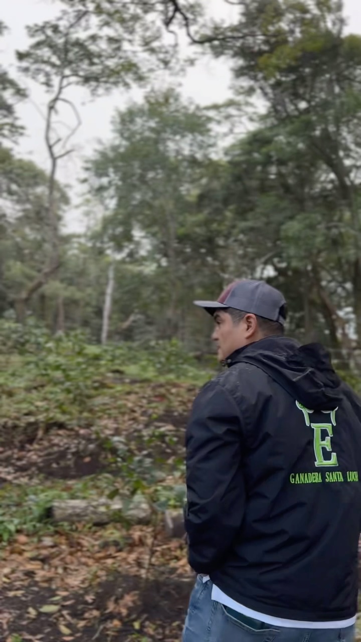 Nothing tastes better than tradition, family, and passion in every cup.
My cousin along with every team member is the force behind and across brands: @sandicoffeeestate (PMA)
@cafetosroaster (Texas)
@trescosechascoffee (PMA)
🌱 Our #panamaspecialtycoffee is grown with love, harvested with care, and roasted to perfection, straight from our family farm to your mug. ☕
#northtexascoffeecollective
#PanamaCoffee #FamilyGrown #SpecialtyCoffee #FromOurFarmToYourCup #CoffeeLovers #TexasCoffeeVibes #CozySips #CoffeeWithHeart #boquete #boquetiando #texasroasters #greatcoffee