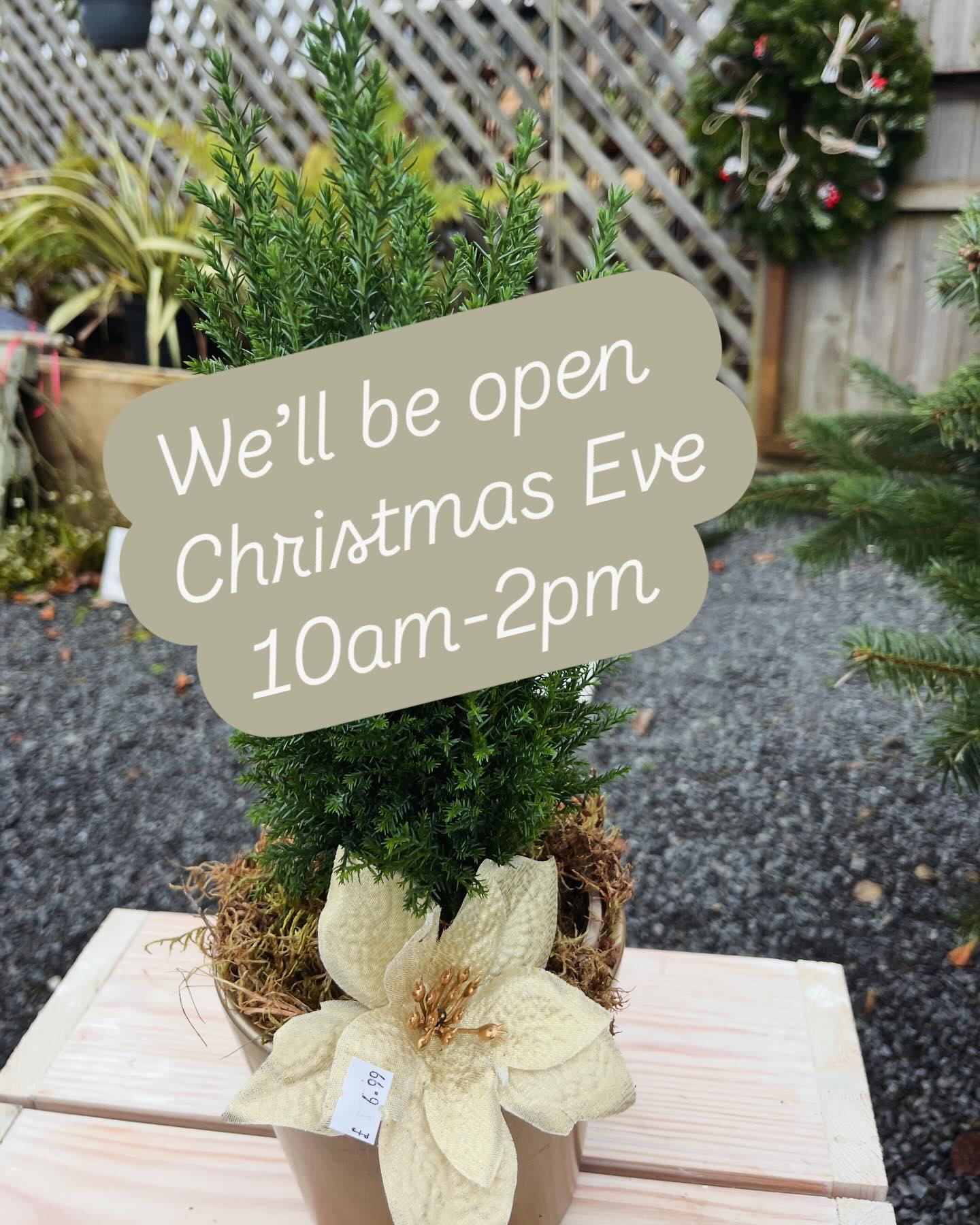 We’re open Christmas Eve for any last minute gifts and we still have a couple of trees left too 🎄🌲🎅🏻