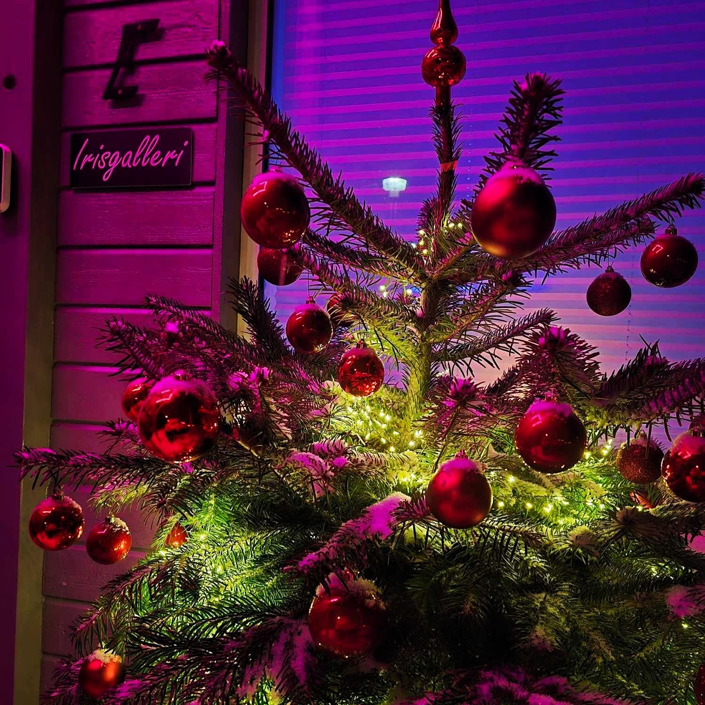 🎄✨ God jul fra Irisgalleri Norge! ✨🎄
Tusen takk til alle våre trofaste kunder for deres støtte gjennom året. Vi ser frem til å ønske velkommen til nye kunstelskere i 2025!
Ønsker dere en fredfull høytid fylt med inspirasjon og glede.
Med varme hilsener, Teamet på Irisgalleri Norge 🌟🎨