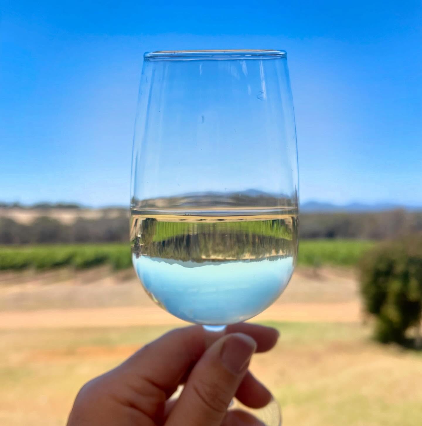 Summer is definitely here!
2024 Riesling is hitting the spot.
#mondurupescape #westernaustralia #westisbest #helloperth #hipcampau #greatsouthernwa #mountbarkerwa #winenot #reisling #treatyourself