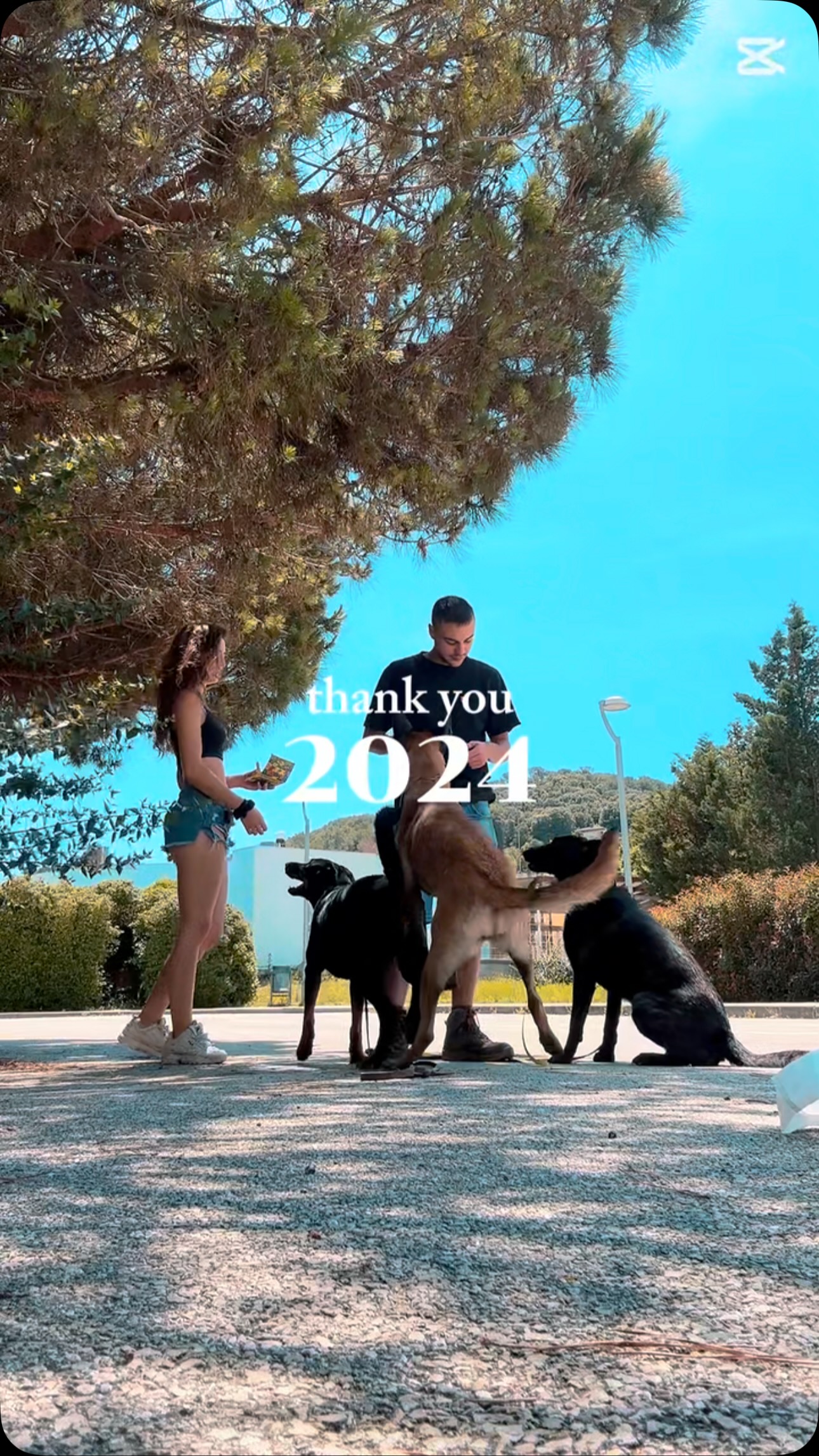 Nuestro primer año como Dogtraining llega a su fin. Ha sido un 2024 lleno de momentos únicos y aprendizajes junto a vosotros y vuestros perros. Gracias por dejarnos ser parte de vuestro día a día.
¡Seguimos con ganas de más en 2025! 🐾💛