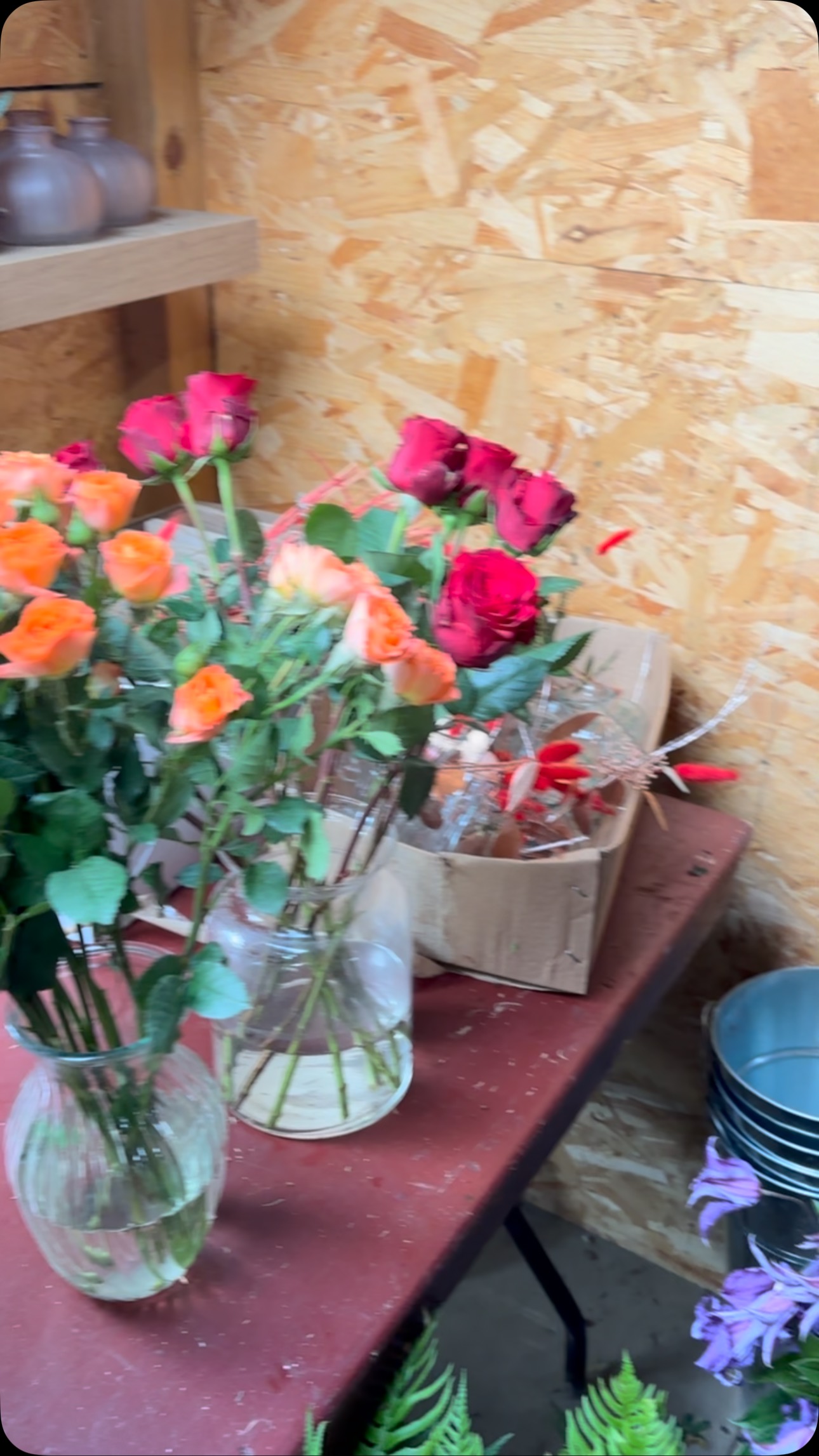 And it begins 🎄💐 Christmas flowers in coming
#keeponskankin @shyfx #coolflorist #xmasflowers #dnb #letsgo #magic #flowersnug #studioflorist #supportsmallbusiness