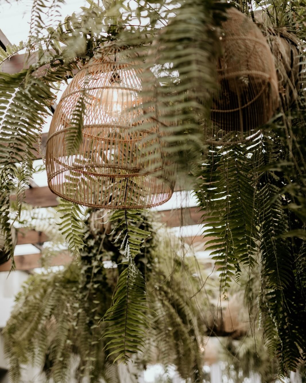 When nature meets elegance. The perfect setting for your next memorable moment. 🌱
#GreenhausStyle #NatureInside