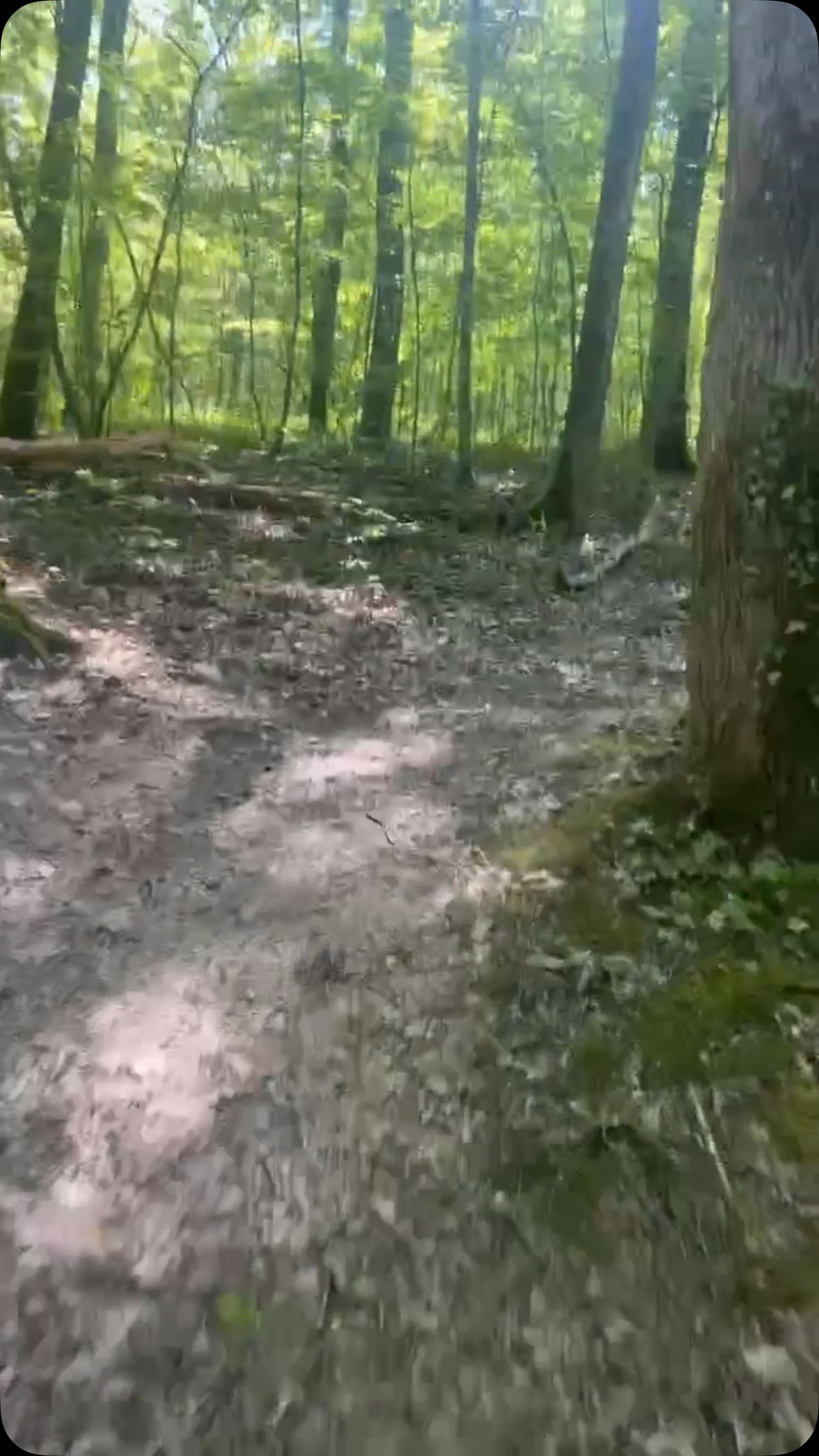 #talaria #moto #cross #ecobikeecasion