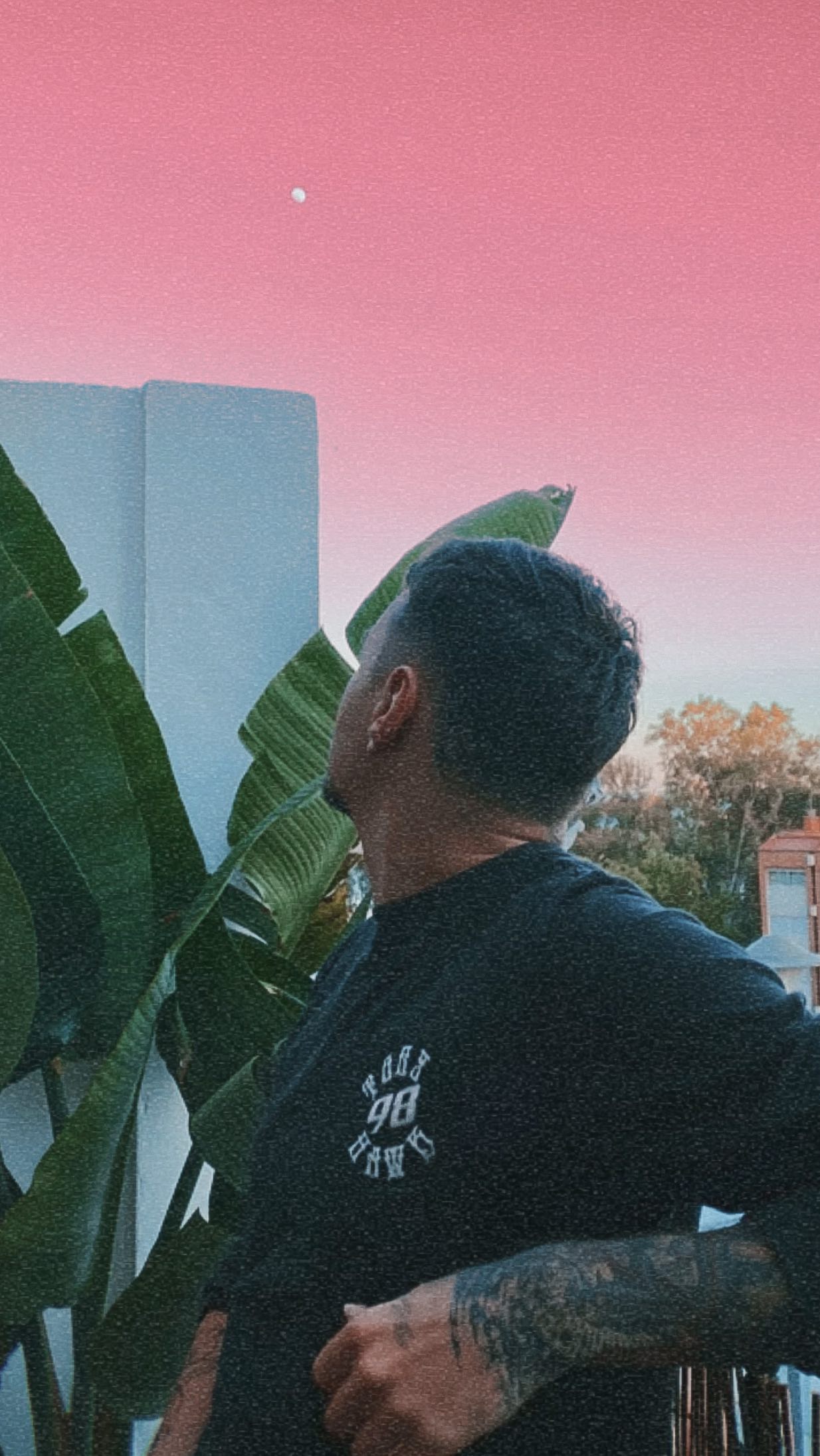 A small selection of works from this year.
I always strive to share the best and most honest representation of my work. Authenticity and naturalness sometimes unfortunately mean not sharing everything with the public (produce good video content is not easy for me).
To a new year with a focus on the things that are important and valuable to me, with the will to keep learning and growing and loving.✨🤲
•
#leiozug #leipzigtattooartist #tattooart #tattooartist #thankyou #newyear #art #ttt #blackworktattoo