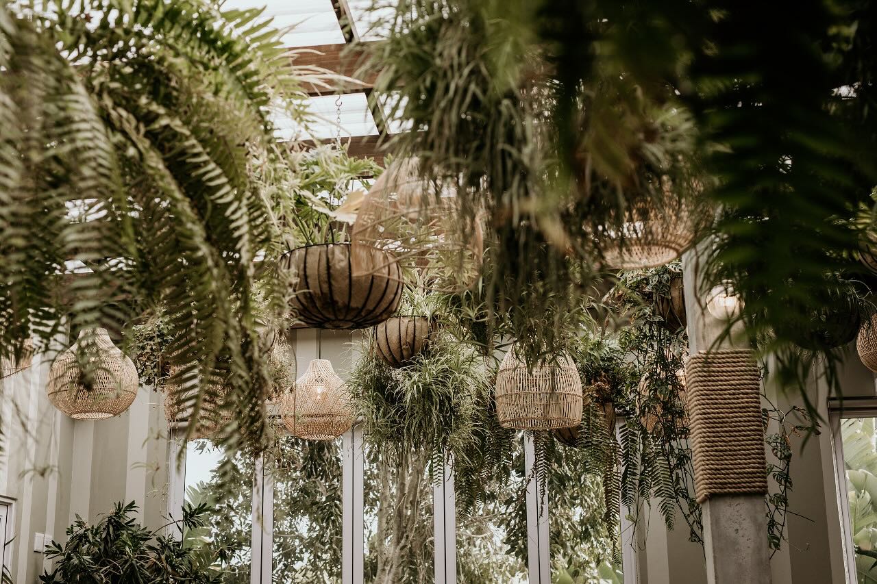 A canopy of nature, right above you. Step into the serene beauty of Greenhaus. 🌿
#LushVibes #GreenhausExperience