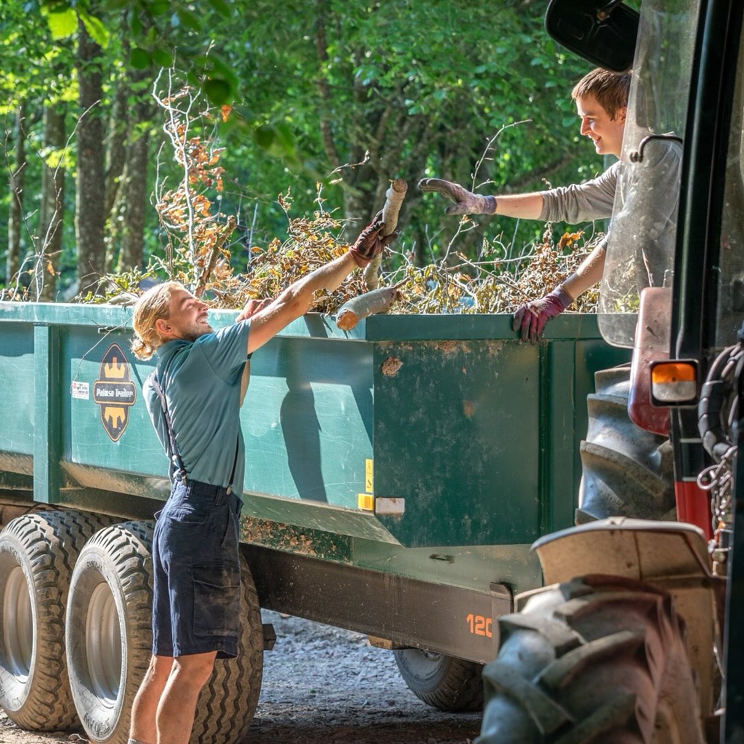 “Living in Divinya gifted me a beautiful space to focus wholeheartedly on the refinement of my inner world. It made me realize that my outer world is the reflection of my inner world. By transforming my inner experience I can contribute to a sustainable and peaceful world with a holistic approach.
Divinya was therefore a blessing at the right time for me. Living there brought out profound qualities in me I never knew I had, and my inner experience started to transform.”
― Frederik, Ecology & Spirituality participant
#innergrowth #innertransformation #consciousnessshift #spiritualcommunity #newparadigm #divinya