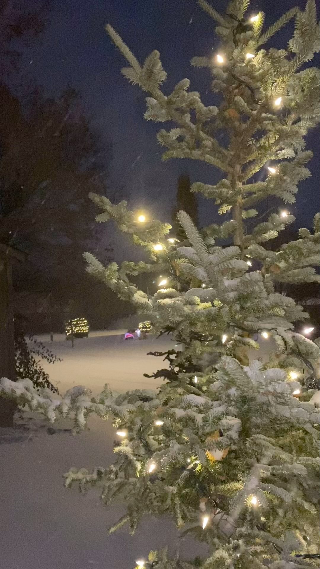 Thank you to everyone who celebrates on a different day or misses gathering with family because you are working Christmas this year. We are truly grateful knowing you are there if we need you.
.
.
.
.
.
.
#firstresponders #healthcare #police #ems #fire