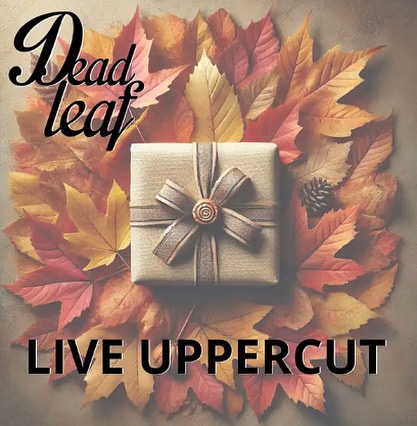 Hello la communauté! Un p’tit cadeau pour la nouvelle année!
3 nouveaux titres à découvrir sur les plateformes!
👇👇👇
https://open.spotify.com/album/2C8fD3mDp3Yl4AqTulo6ym?si=N3gv-SRJQE-KuS_qtxhp-g
#deadleaf #livemusic #rock #frenchband #girlvoice #drum #guitar #bass #keyboard