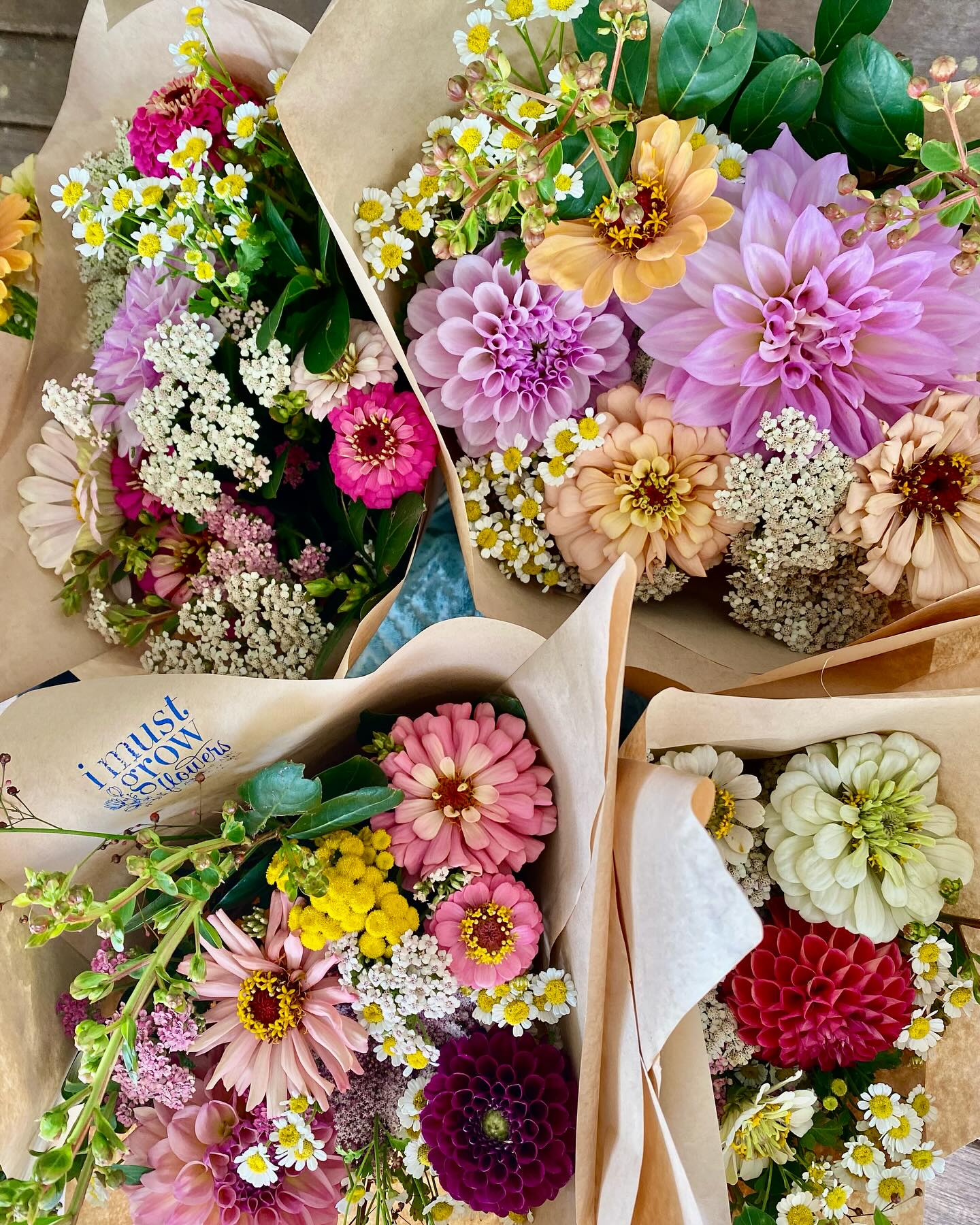 Available this week @goodnessmeorganics 😉
#ilovefreshflowers #organicflowerfarm #flowersforthekitchentable #supportlocalgrowers #newcastleflowerfarm #growsomethingbeautiful
