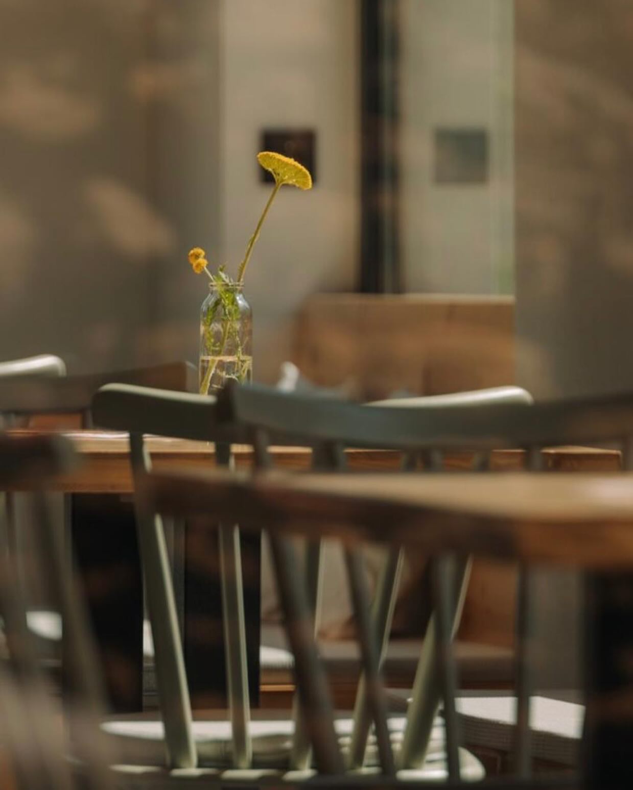 Liebe Heimathungrig Fans!
Wir machen Urlaub! - vom 22.12. - 29.01.2025
Dann starten wir mit Schwung und neuen Ideen in das Jahr 2025 🍀🪅🐷🧡
Gesegnete Weihnachten und einen guten Rutsch in 2025‼️