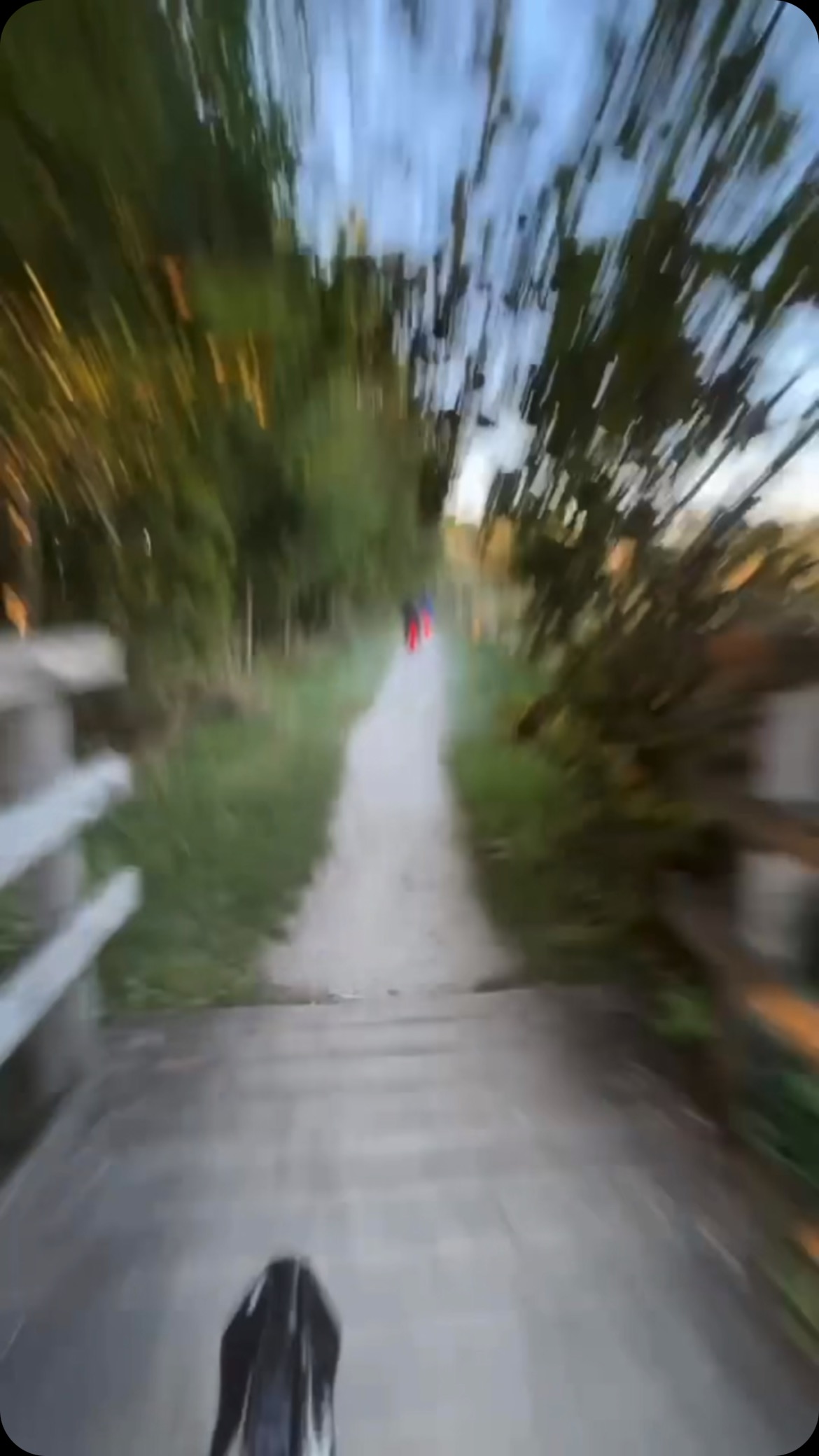 #ecobikeevasion #ecobike #bike #talaria #montagne #balade #surron