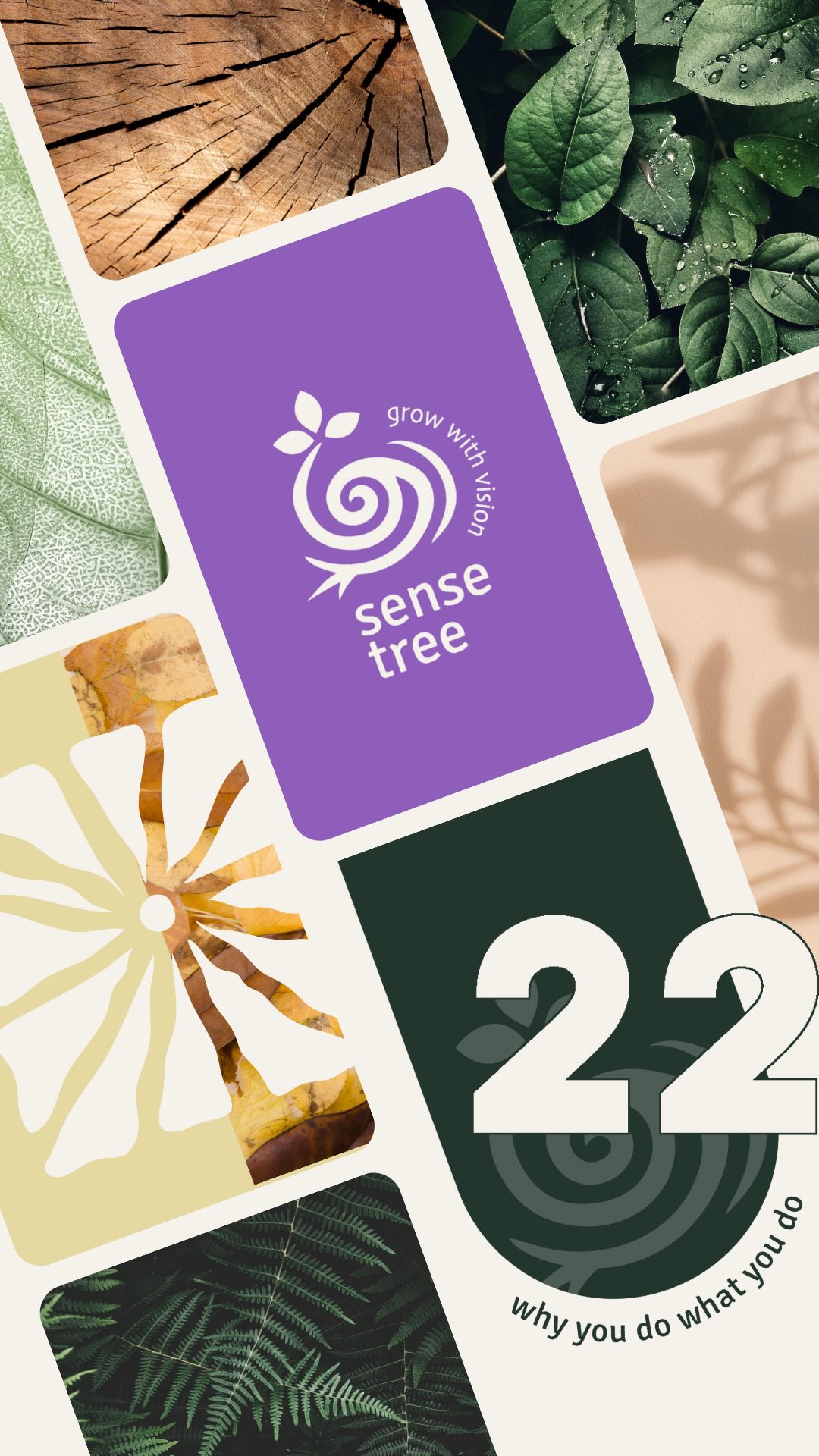 Door 22 ๐ซ๐ค - new website ๐๏ธโ๐จ๏ธ๐๏ธโ๐จ๏ธ
.
#visualcommunication #visualart #branding #website #webdesign #teaser #animation #visual #communication #strategy #storytelling #digital #contentcreator #sustainability #longtermgoals #growth #vision #2025 #preparation #getready #goodvibes #connexion #unity #sense #tree #studio