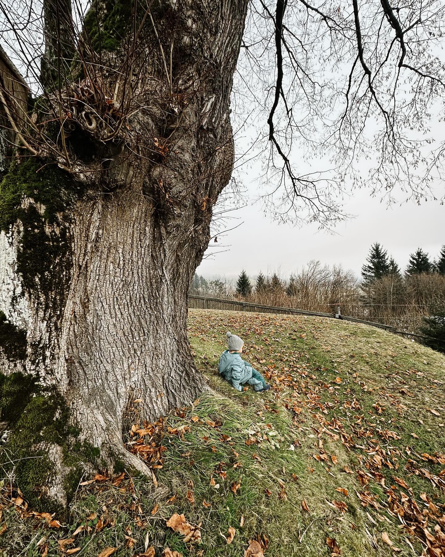 „In every walk with nature, one receives far more than he seeks.“ – John Muir
Ein kleiner Mensch, ein großer Baum – die Natur zeigt uns, wie bedeutend es ist, verwurzelt, geduldig und wachstumsbereit zu sein. Was können wir heute von ihr lernen? 🌱
#einneuesjahrbeginnt #achtsamkeit #indernatur #vondernaturlernen #mitdernaturleben