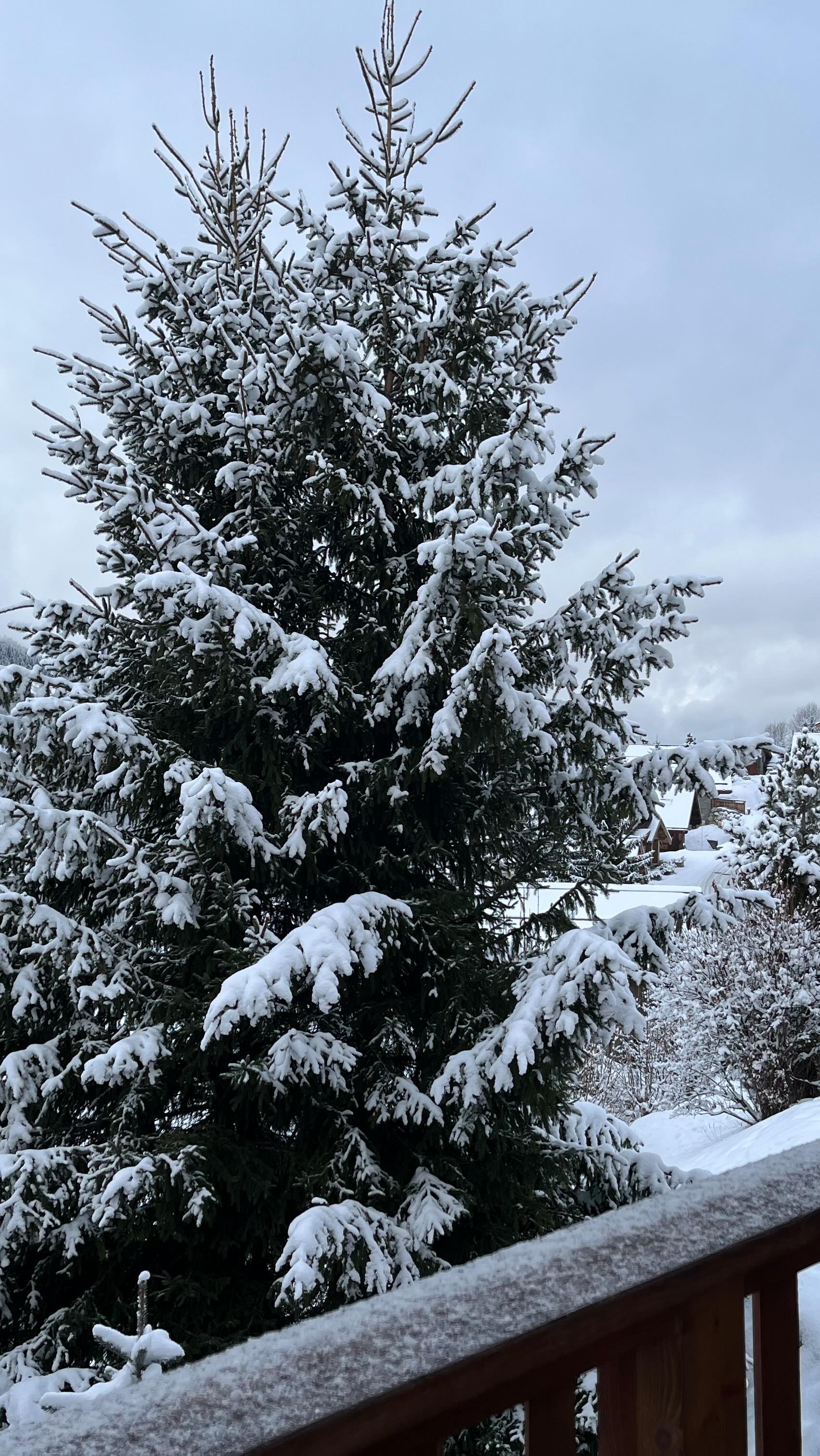 Our view this morning 😍