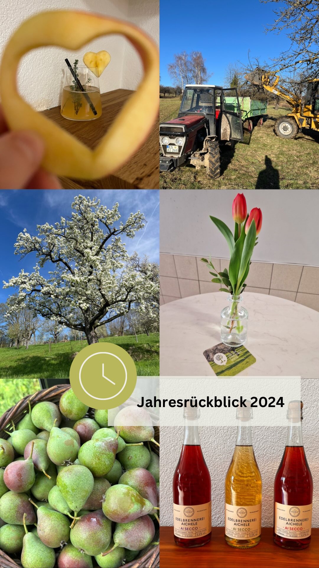 2024 in Bildern!📸
Für 2025 wünschen wir euch alles erdenklich Gute! Rutscht gut rein!
#goodbye2024 #rückblick #EdelbrennereiAichele #Ostfildern #Dankeschön #hello2025 #littlerecap #filderanzeiger