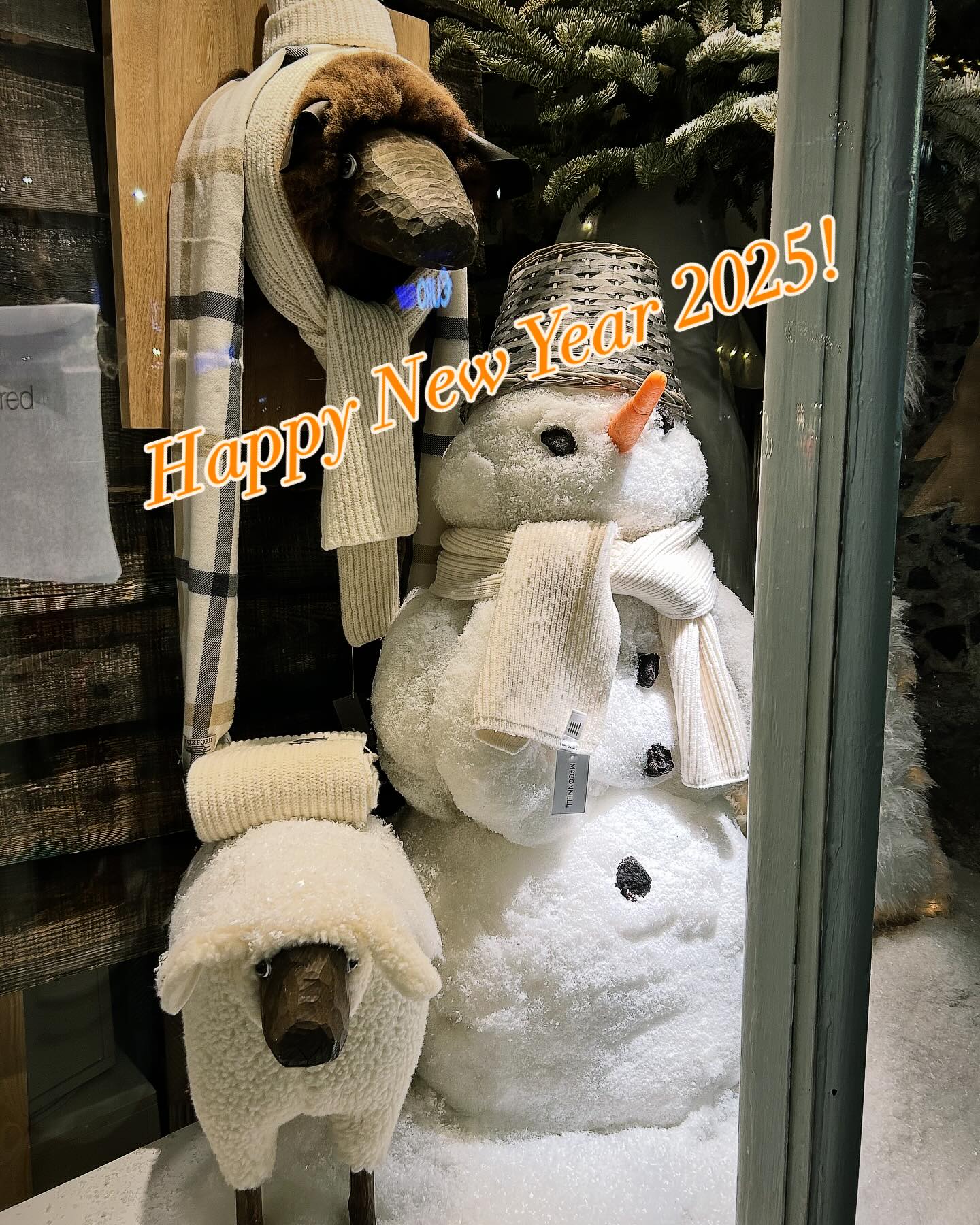 Wishing you a very happy new year 2025. Love, peace and a an amazing time in Galway 😉🐑❤️