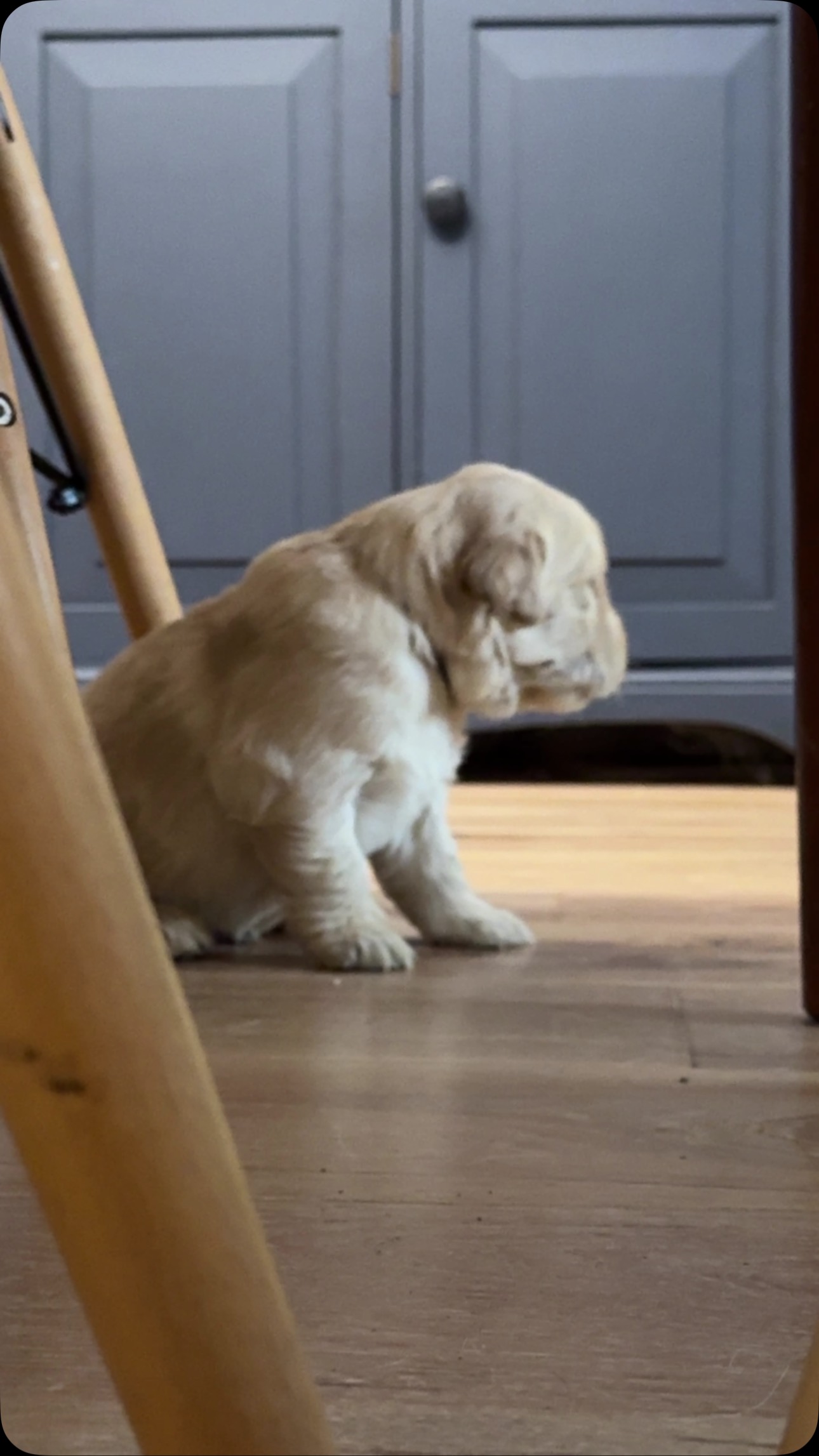 Learning to walk!