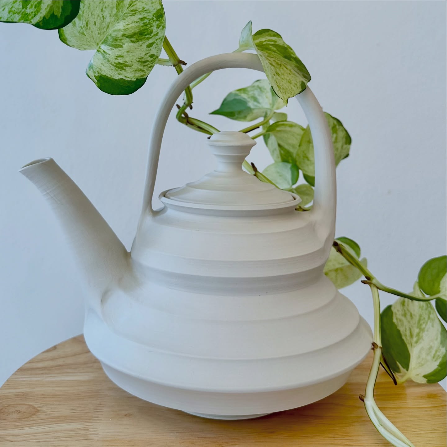 Winter is coming🤍🥶