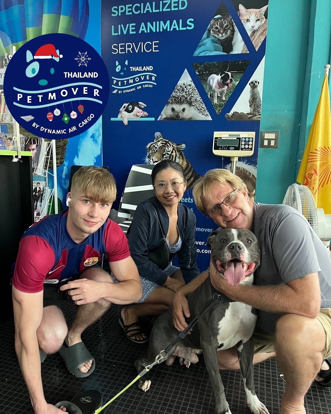 🇧🇪 🛬 🇹🇭
Reuniting Families this Holiday Season 🎄🎁🎉
Swipe for such a heartwarming moment of their reunion!
——————————————————
🐶 Thailand Pet Mover
🐱 Where Pet Lover Meets Pet Mover
🐰 Inquire via LINE: @thailandpetmover
🐯 Or Email: service@dynamicaircargo.com
🐹 Our DMs are not monitored
🐷 A trade mark service managed by Dynamic Air Cargo, a member of IPATA and IATA.
——————————————————
Please make sure you contact direct to our customer service team
#bangkok #traveller #importer #exporters #animals #thailandpetmover #petrelocationservices #petrelocation
#animallovers #pet #petmoverthailand #petshipping #dynamicaircargo #thailandpetrelocation #petrelocationthailand
#worldwideshipping #petmover #petlover #cats #doglover #ขนส่งสัตว์เลี้ยงไปต่างประเทศ #หมา #แมว #ขนส่งสัตว์เลี้ยง #doglovers #dogs #pets #petboarding