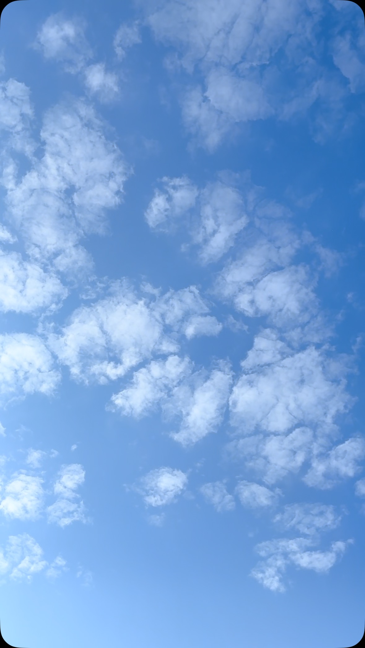 Goodbye 2024
Hello 2025
To more gentleness, kindness and peace 🙌🏻🤍