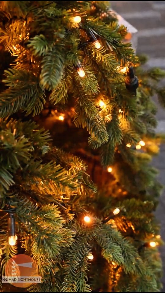 Thanks for all the support this year! Wishing everyone gets to enjoy a peaceful holiday season doing whatever makes them happy, and looking forward to connecting and creating amazing moments in 2025!
#DigitalNomads #NomadicLifestyle #nomadlife #FreedomLifestyle #LocationIndependent #holidayseason