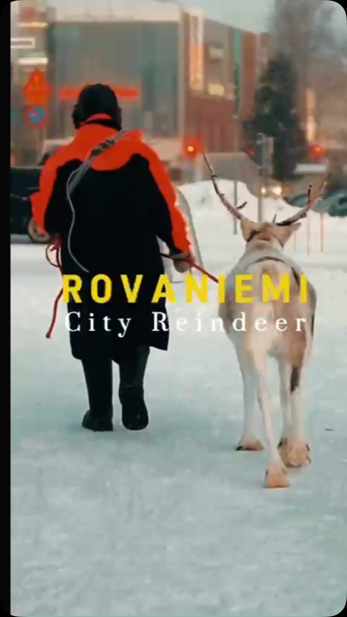 ✨ Did you know you can experience a reindeer sleigh ride here with us, right in the heart of Rovaniemi?
Step into a true Arctic fairytale this winter with a magical sleigh ride at Snowglow Winter Park. Cozy blankets, gentle reindeer, and the charm of Lapland await you. A perfect activity to feel the Christmas spirit without leaving the city!
📍 Location: Snowglow Winter Park, Ruokasenkatu
-
#VisitRovaniemi #Rovaniemi #laponia #Lapland #finland #reindeer