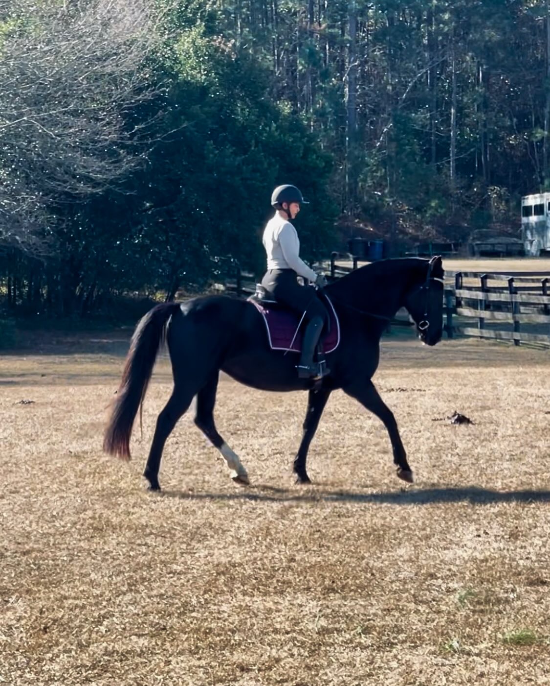 I’m an advocate for the average horses, those who aren’t super flashy movers, who may not be so naturally inclined to be lighter on the forehand and who’s pedigree may not have those we have considered great.
In so many ways these horses are far from average. They are raw, honest and grounded. Their fire brought out with the artistry of their rider, who knows the challenges they may face, but still chooses to take that journey with them. To help bring out that confidence in lightness.
To see a horse many consider average become magnificent is well worth the wait ❤️