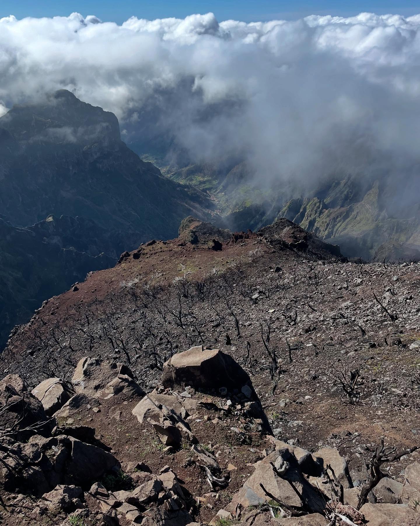 Pico Ruivo, after a 1000 m climb. 😅 Still beautiful after the fires in August 2024.