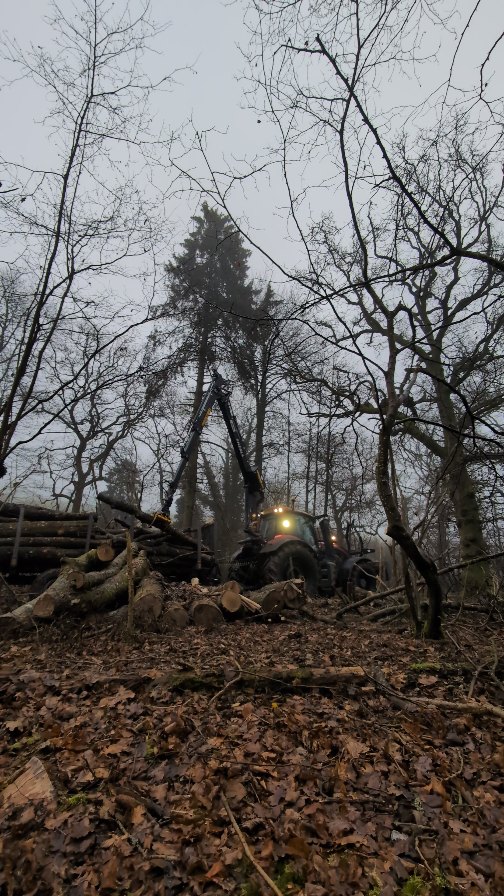 A little timber extraction to conclude 2024's extremely busy work schedule 🪵🏗️
#treecontracting #ashdieback #ashdiebackremoval #forestry #forestrycontractors #andovertreesurgeon #winchestertreesurgeon #hampshiretreesurgeon #siteclearance #treesurgery
