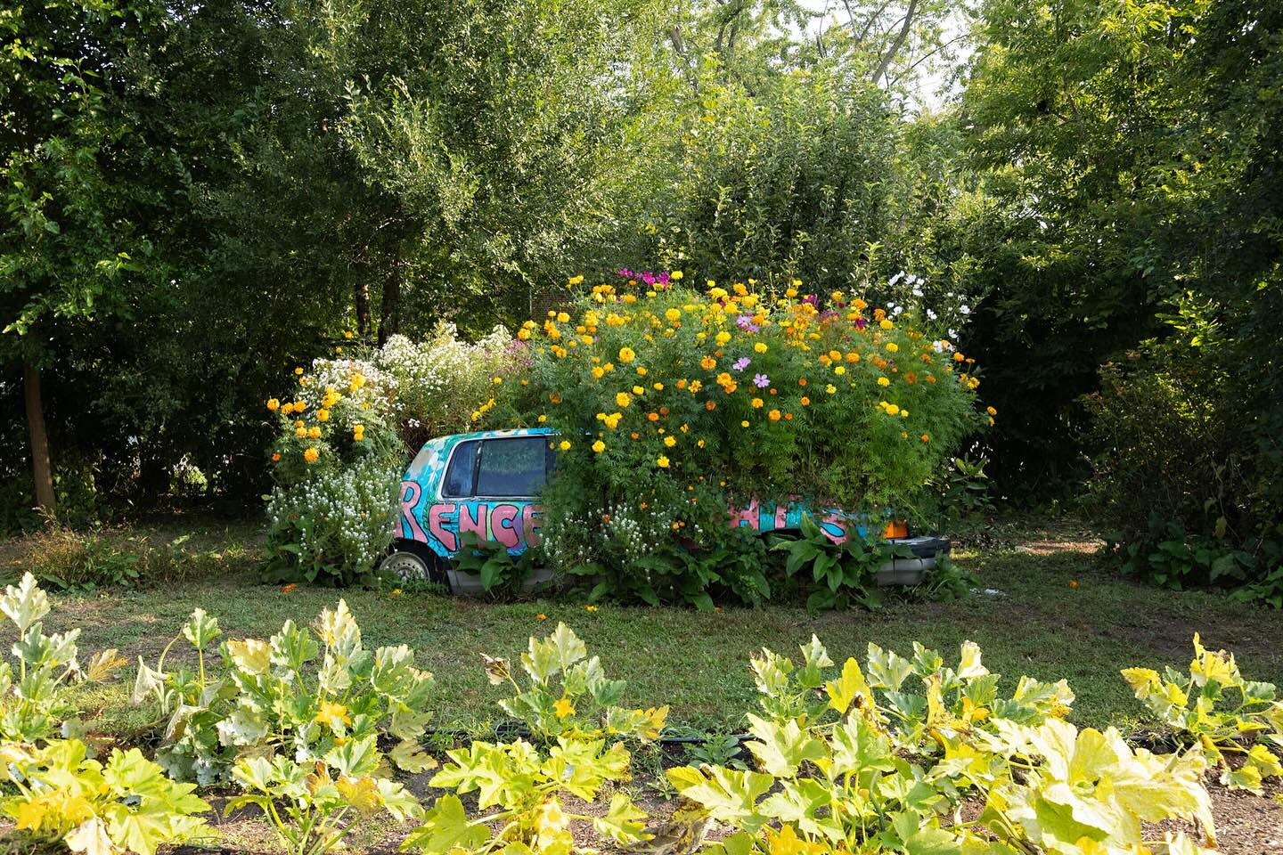 As we gather around the table this holiday season, let’s remember those who are less fortunate. At The PACT Urban Peace Program, we’re working tirelessly to provide food security and empowerment to under-resourced communities. Join us in spreading the holiday cheer by donating or volunteering. Every bit counts! Happy Holidays from our PACT family to yours! 🎄🎁 #PACTUrbanPeace #FoodSecurity #HappyHolidays