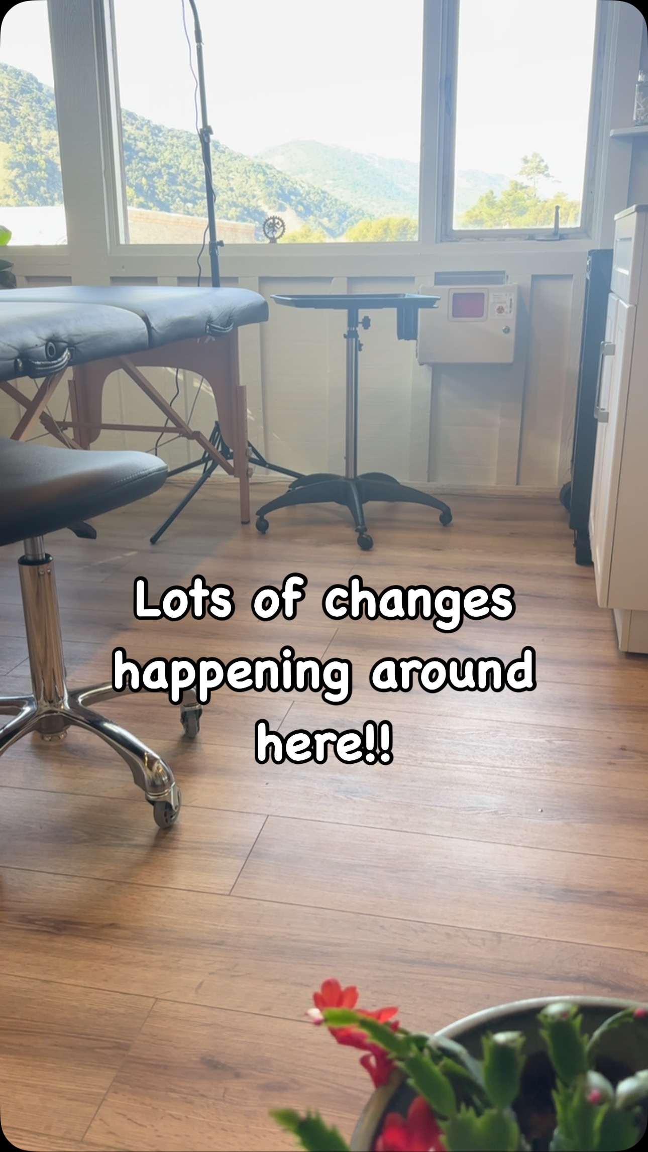 Things are changing around here!!
The studio has gotten a refresh and things have changed. I’ve added a second work station to the studio as well as a regular, part-time traveling artist to our roster (SO excited to have @wayfinder_ink on the team!! More on that soon!).
We are opening up to guests (please inbox if you’d like to come join us sometime) and we are rearranging, redecorating and rediscovering this beautiful little space of ours.
It feels so good to have some new and fresh energy here, and to breathe more life into this magical little studio.
This last year has been beyond my wildest dreams. I am so grateful to every single one of you that has come through these doors and who will come through in the future.
I’m so excited for what we will be creating together here!!
With love and humble gratitude,
Iris ❤️✨