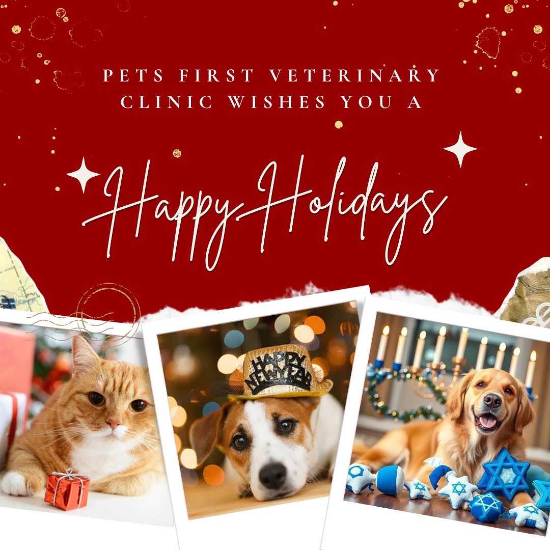 Happy Holidays from the Pets First family to yours!❤️🎁
Stay safe, warm, and healthy! We’ll see you next year!🥳🍾
Don’t forget to set a treat out for Santa Paws!✨