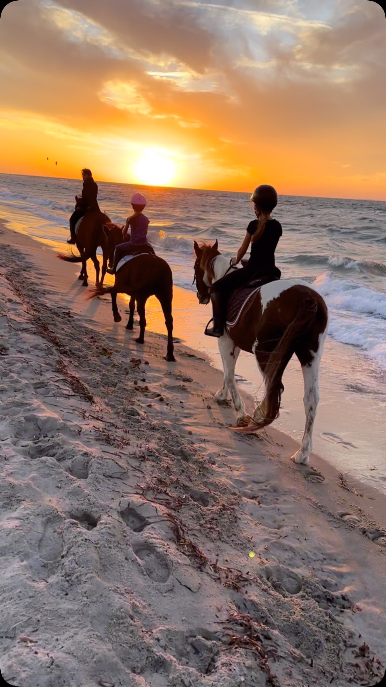 Warm thanks to all of our riders for making 2024 so special! Happy New Year and best wishes for health, happiness and success in the new year from all of us at #saltlakestables We are looking forward to #2025 and hope to see you!
#happynewyear #summer2025 #horseridingkos #kosisland #holidays2025