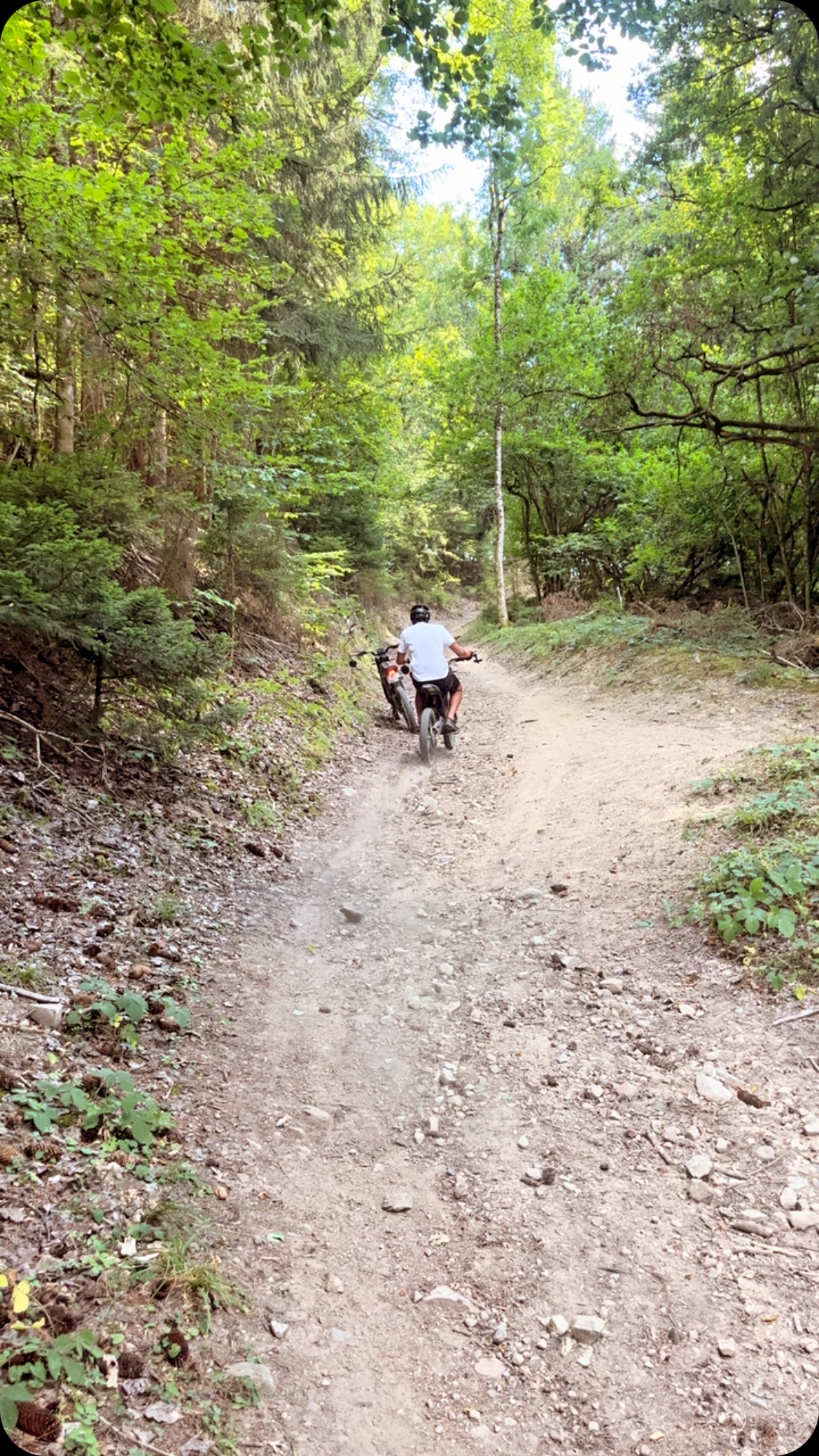 #ecobikeevasion #lagouilleauxmorts #talaria #motoelectrica