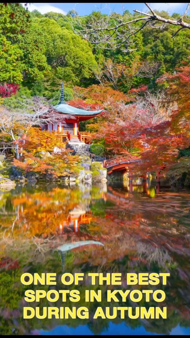 Daigoji Temple in Kyoto is a masterpiece of autumn beauty, where vibrant red and gold leaves frame historic pagodas, tranquil ponds, and ancient pathways. A perfect blend of natural splendor and cultural heritage, it’s a must-visit for an unforgettable seasonal experience. #sonydiadvocate #teamsony #japantravel #japantravel #kyoto #daigoji