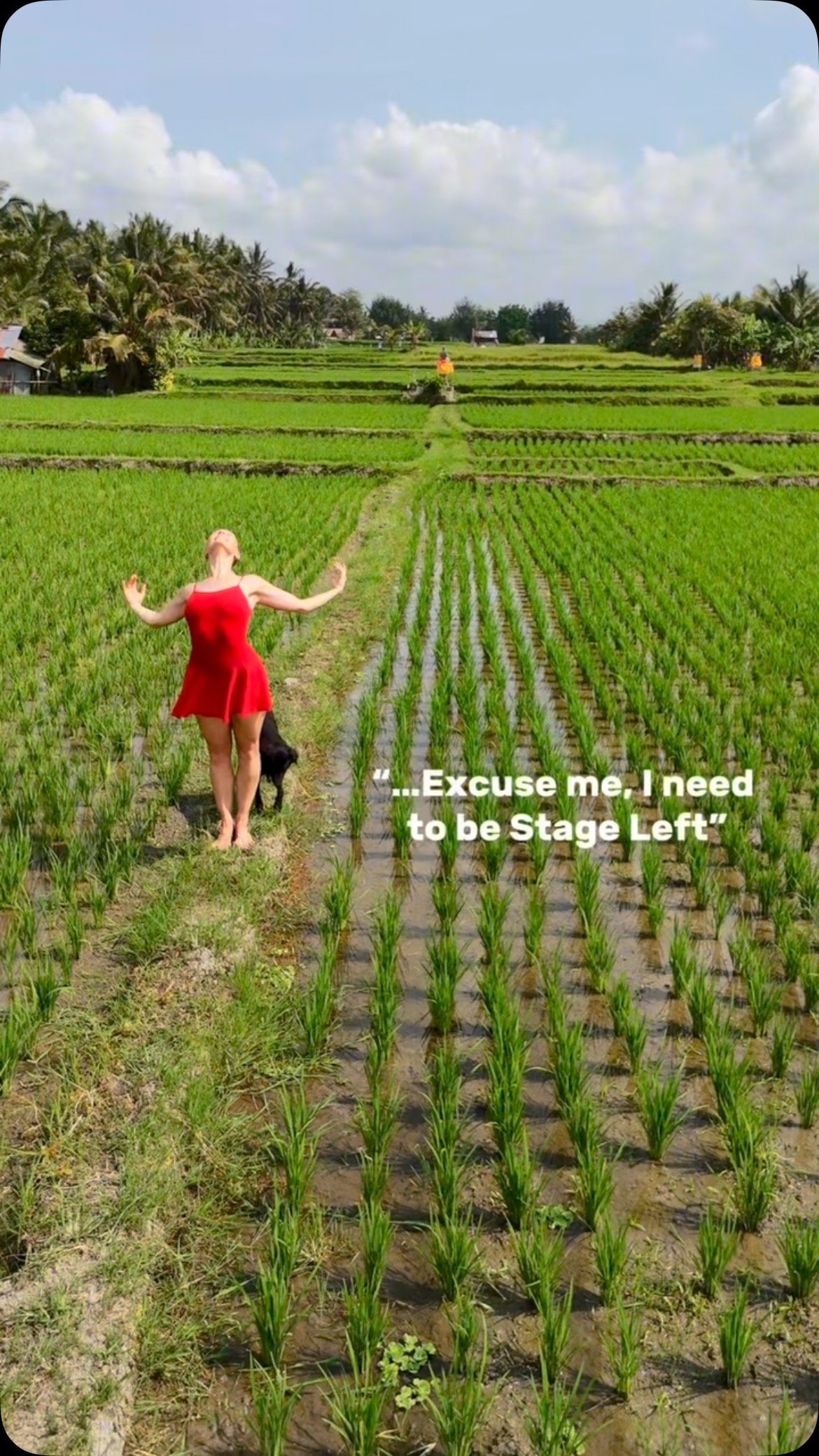 DANCING DOGGIE : One of my favorite connections in Bali was meeting this sweet little doggie. He followed us all the way from the village to the rice fields to join in on a dance! He couldn’t resist running through the shots and checking out if my toes were pointed. He even “hunted” us a duck and proudly laid it on the dance floor. Definitely stole my heart and made us laugh every step of the way!
🦆
Thank you @samorokovskaia_ for catching all the amazing shot!
🦆
#dance #dog #bali #ricefield #ubud #connection #laugh #stolemyheart #collaboration #ballet #red #travel #duck