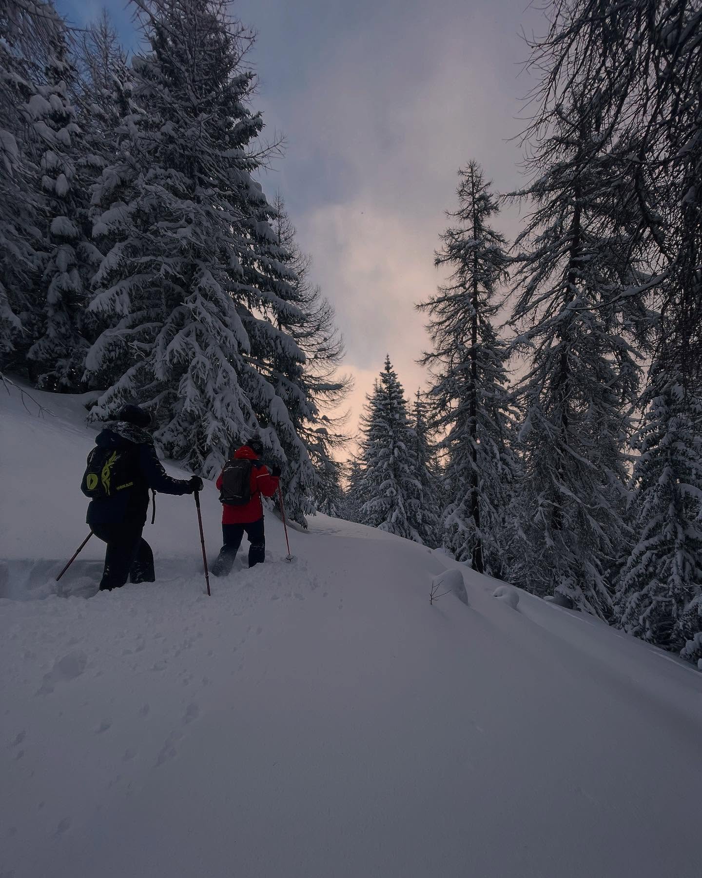 La magie de @la_plagne
#laplagne #raquettes #mountainholiday #neige❄️ #vacancesalamontagne #randonnée @tsloutdoor