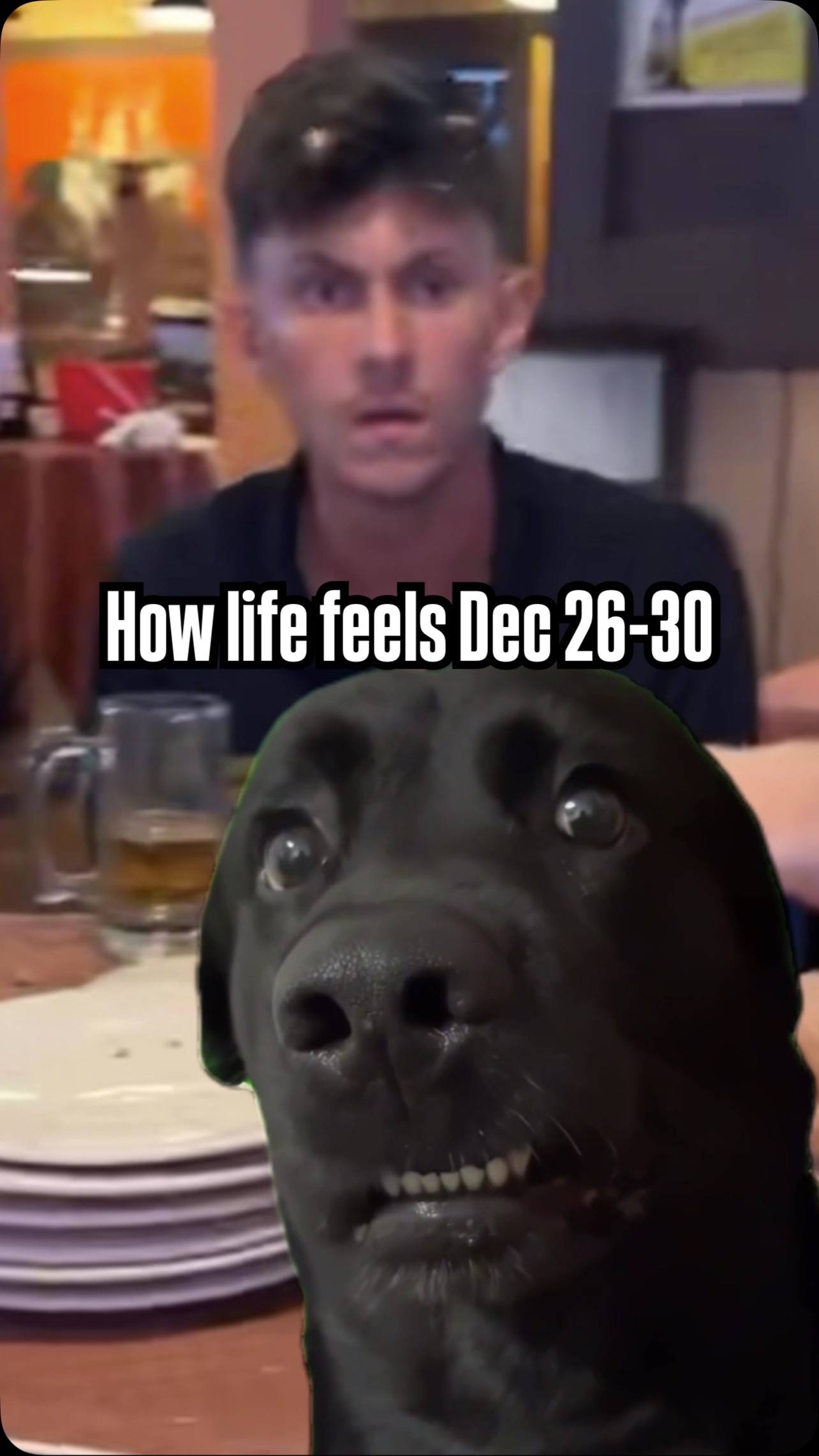 Am I in a food coma? What day is it? Who am I? Who are you??