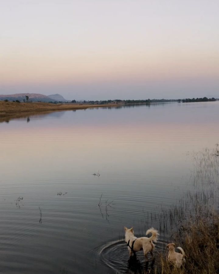 OPEN CALL
Awata retreat was consciously curated for the likes of mad nuts, misfits & black sheeps. Individuals who love what they do & are passionate about it. For those who wish to share this experience with the rest of the community.
We all go through that phase in life when we face a creative block. Where we are standing at the edge & need to take a leap of faith or need a breakthrough or a fresh perspective. Or just time to work on an idea.
All we need is quiet space to ourselves; while we are not disturbed by day to day chores. Where we can brainstorm, get inspired by the raw nature and maybe collaborate with like minded people.
April & May
1 month
6 individuals
Connect to know more:
https://www.130awata.com/residency
#artist #residency #retreat #opencall #creative #130awata