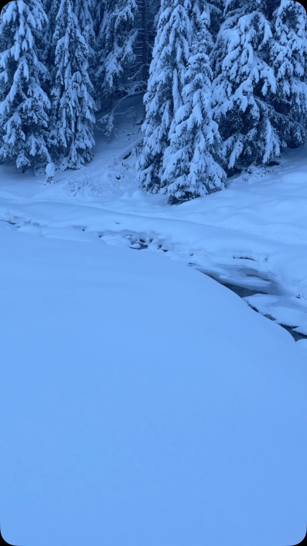 Balade de Noël @la_plagne
#raquettes #snowshoeing #randonnée #savoiemontblanctourisme