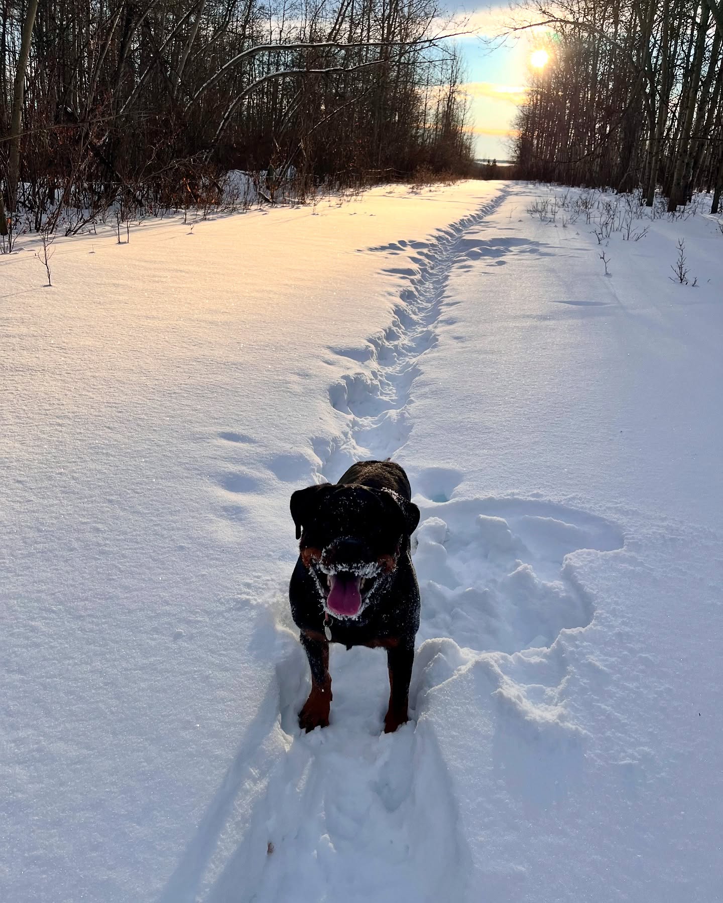 Happy holidays from ‘Round The Bend! We’re so grateful for the warm weather and blue skies. 🐾