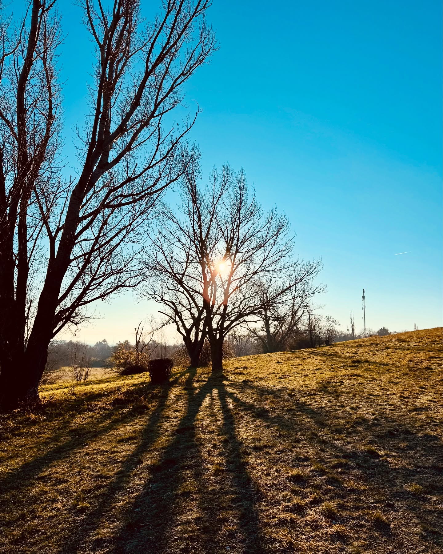 Happy new year ihr Lieben ✨☀️
365 neue Seiten
12 Kapitel
und alles leer
Es liegt an dir, was du daraus machst 💪🏼
Schreib dein eigenes Buch, so wie du es dir vorstellst!
Schau auf dich und mach DICH glücklich! 🫶🏼
#newyear #happy #liebe #schauaufdichschauaufmich #shiatsumichl #shiatsu #leben #2025 #deinleben