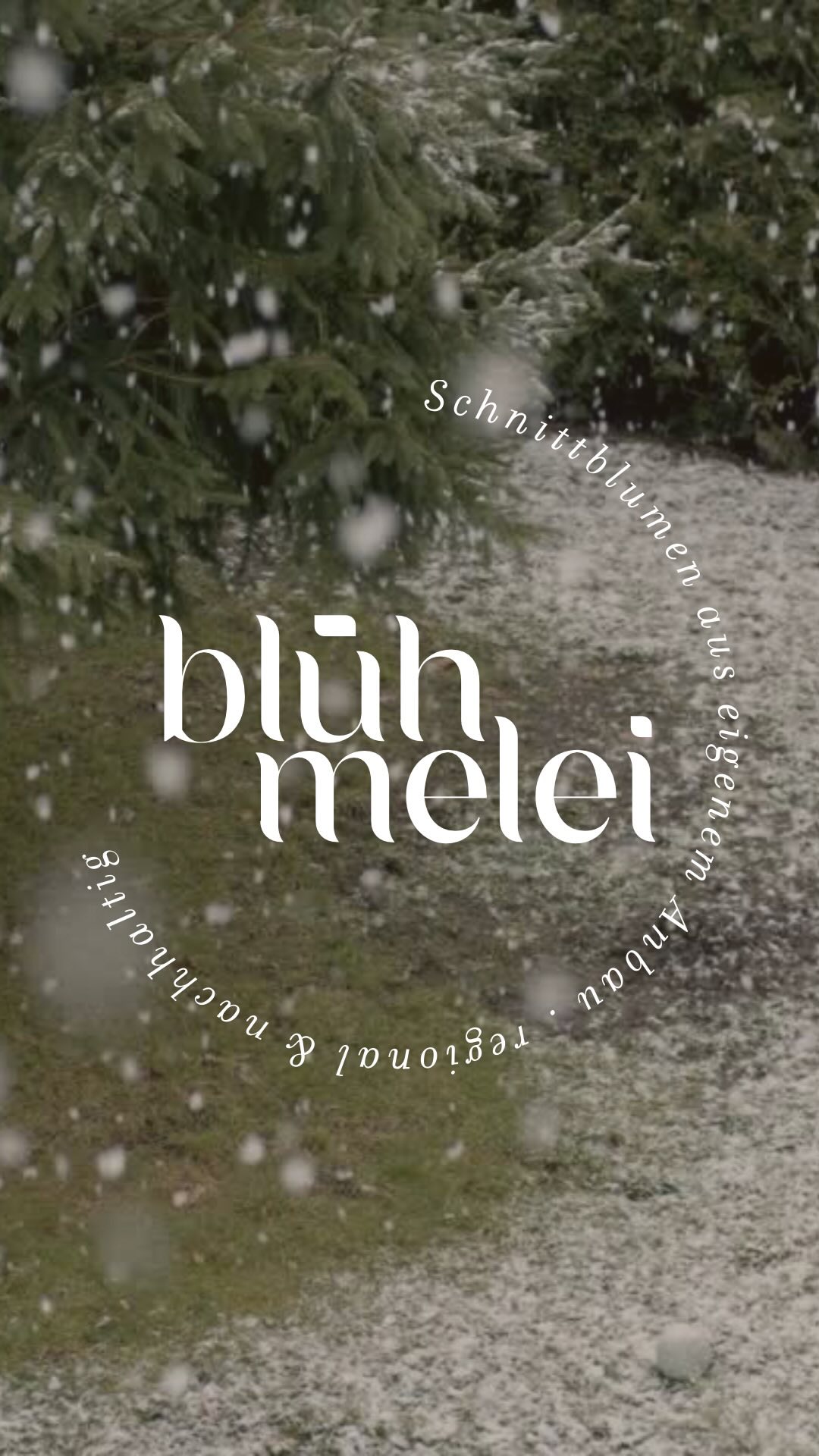 Danke.
In diesem Jahr durften wir wieder gemeinsam mit euch die Schönheit und Kraft der Natur erleben. Euer Vertrauen, eure Unterstützung und eure Liebe zu unseren Blumen bedeuten uns mehr, als Worte sagen können.
„Blumen sind das Lächeln der Erde.“
– Ralph Waldo Emerson
Dank euch dürfen wir dieses Lächeln weitergeben – mit nachhaltigen, regionalen und saisonalen Blumen, die von Herzen kommen.
Wir wünschen euch frohe Weihnachten, besinnliche Tage und einen guten Start ins neue Jahr. Lasst uns auch 2025 die Welt ein kleines bisschen blühender machen!
Herzlichen Dank für alles,
Eure Dani
#dankbarkeit #slowflowers #slowflowerbewegung #blumendieanmorgendenken #weihnachten #blumen