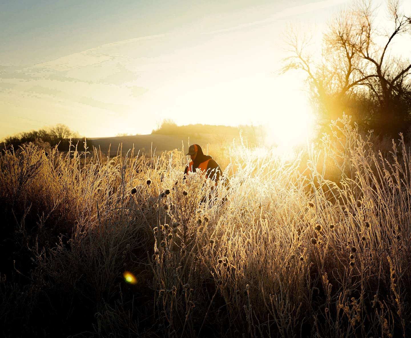 Upland Birds & Uplifting Mornings ☀️
Canon RP & Canon RF 15-35mm F/2.8 L IS USM
#pheasantseason #pheasantfeathers #pheasants #hunt #ringneckpheasants #visitne #nebraska #nebraskaphotographer @nebraskaland #discovernebeauty