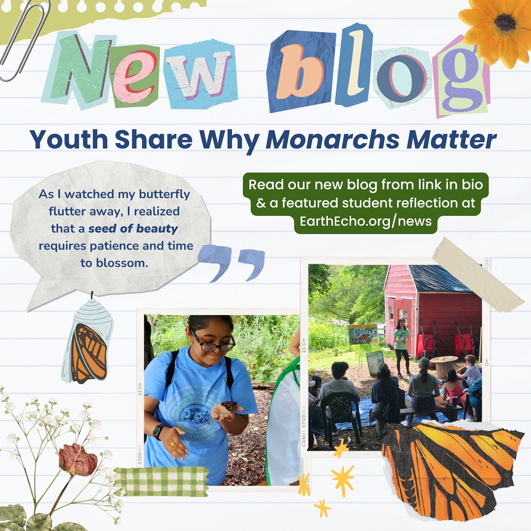 This summer, our students helped raise or metamorphose over 80 monarchs—but the butterflies were not the only ones that metamorphosed.
Read our new blog (link in bio) to get a preview of inspiring youth testimonials about how raising monarchs transformed their perspectives towards the environment. Or go to earthecho.org/news to read a featured full student reflection. Stay tuned for more full reflections on our blog! 🦋✍️
#monarchsmatter #rewildlongisland #monarchbutterflies #summerprogram #youthactivism #environmentalconservation #biodiversity #sustainability #citizenscience #testimonials #environmentalaction #metamorphosis #butterflylovers #environmentalawareness #nativespecies #butterfliesofinstagram #rewilding #insectstagram