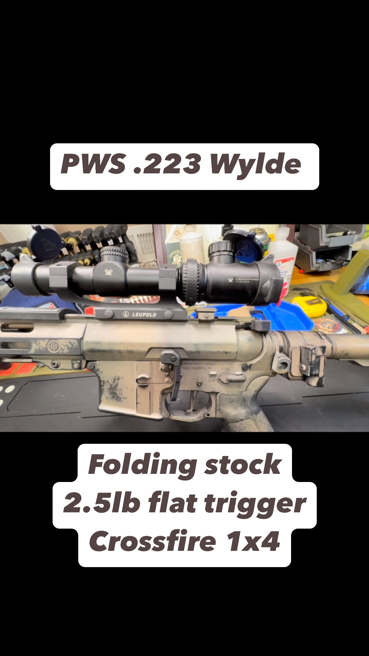 PWS .223 Wylde #andersonsc #gunsmithing