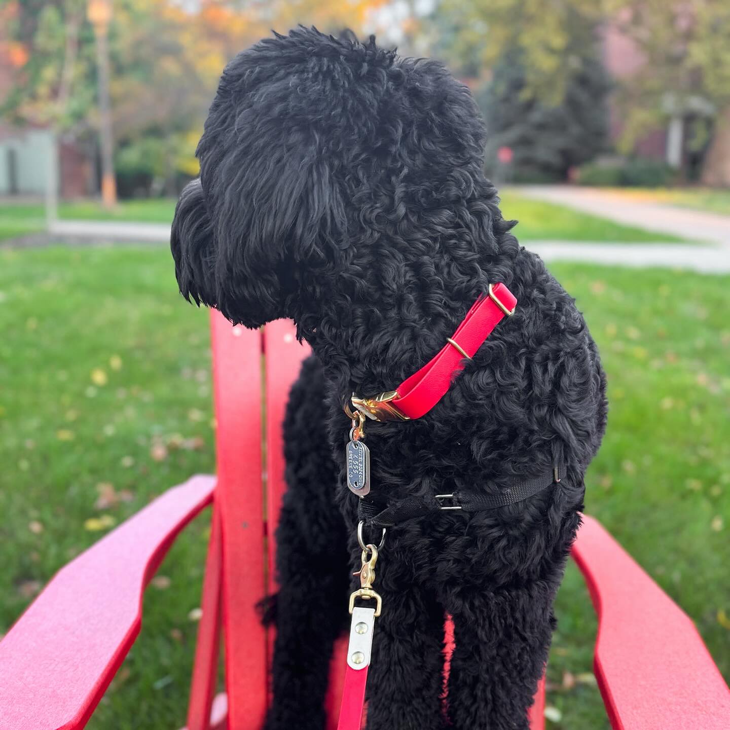 We love all our colors but there is something about red during the holidays ❤️
Tomorrow is the last day to order before we close for a few weeks. Make sure to get those orders in!